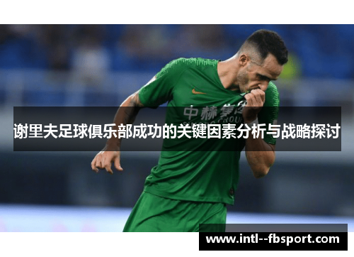谢里夫足球俱乐部成功的关键因素分析与战略探讨 谢里夫足球俱乐部成功的关键因素分析与战略探讨