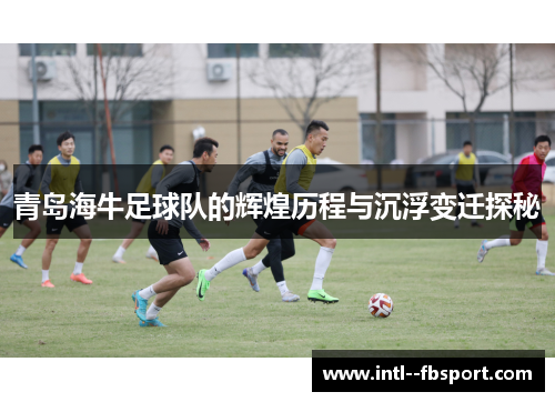 青岛海牛足球队的辉煌历程与沉浮变迁探秘