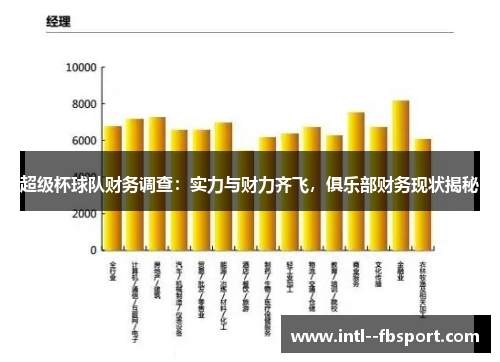 超级杯球队财务调查：实力与财力齐飞，俱乐部财务现状揭秘